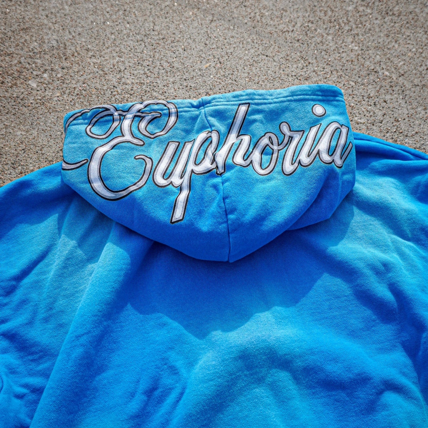 “Pleasure & Desire” Zip Up - Blue